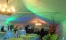 Tented Uplighting