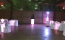 City Park Conservatory Uplighting