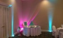 English Turn - Specialty LEDs