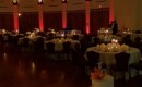 Audubon Tea Room Uplights