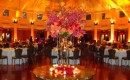 Audubon Tea Room LED Lighting
